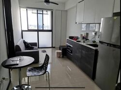 Sims Urban Oasis (D14), Condominium #503170241